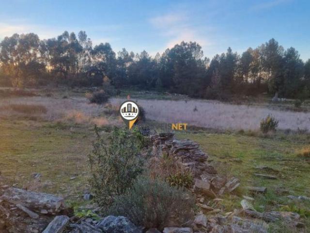 Terreno com 3960m2, Venda, Benquerenças | 26083897444