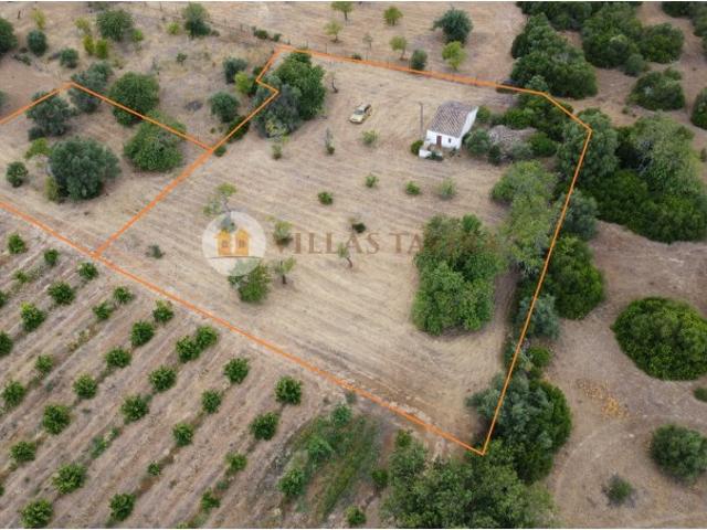 Terreno com 3.150 m² e dois artigos urbanos para reconstrução Santo Estêvão, Tavira