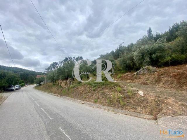 Terreno com 3.129 m² para venda em Fato Figueiró dos Vinhos | 26083710823