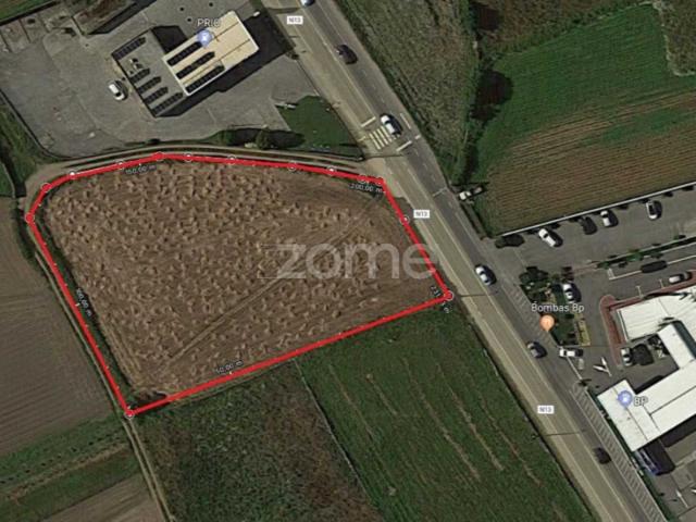 Terreno com 3.500 M2 situado junto à estrada nacional nr 13 fão