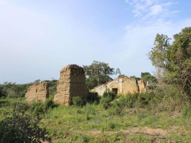 Terreno com 3,9 hectares e projecto aprovado em Melides, Setúbal