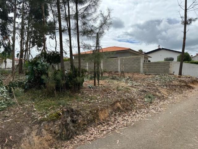 Terreno com tres frentes, Amoreira do Repulão, Oliveira do Bairro
