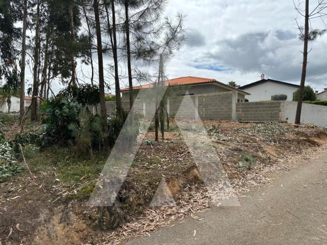 Terreno com tres frentes, Amoreira do Repulão, Oliveira do Bairro