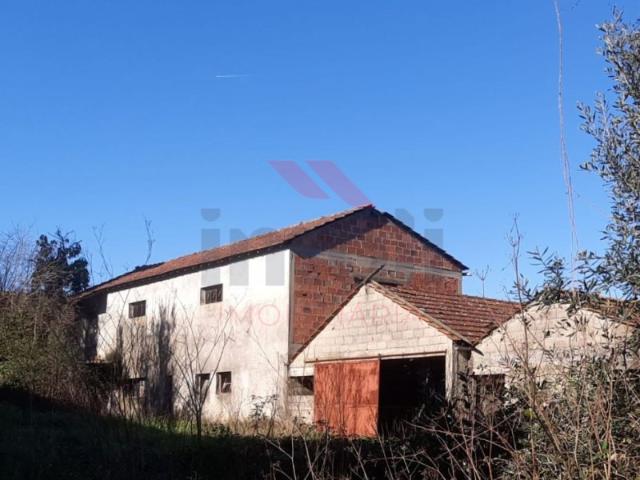 Terreno Com Vacaria /Anexo Ponte de Lima