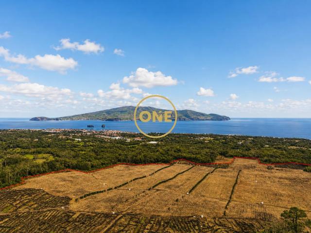 Terreno com Vinha à Venda na Ilha do Pico