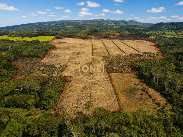 Terreno com vinha à venda na ilha do Pico