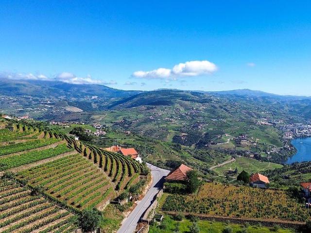 Terreno com Vinha DOC no Douro – Cambres, Lamego