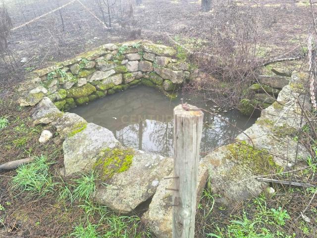 Terreno com vinha e poço Perto da Zona Industrial de Chaves