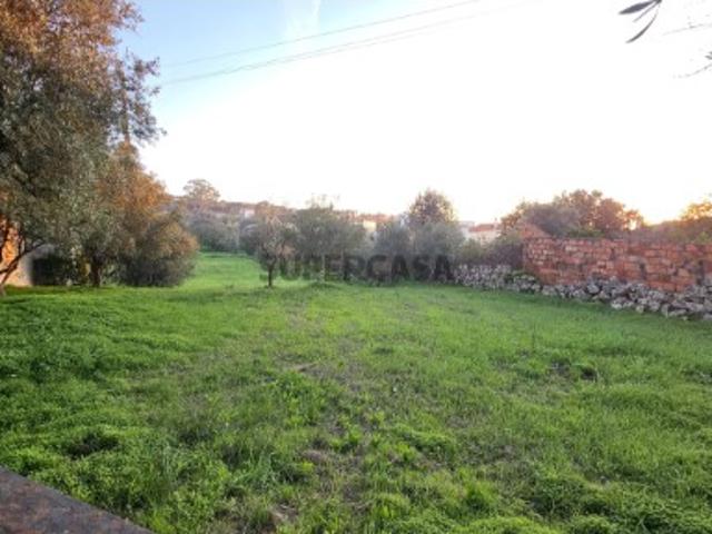 Terreno com Viabilidade de Construção a 5 Minutos de Pombal