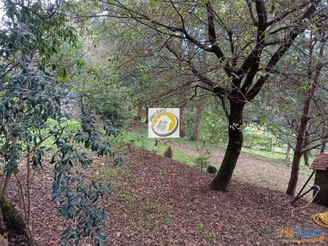 Terreno com viabilidade de construção em Palmaz | 26084061093