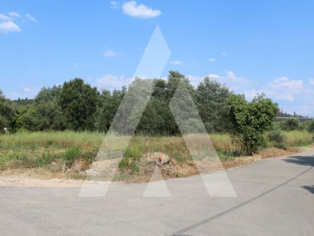 Terreno com viabilidade de construção. Ideal para investimento