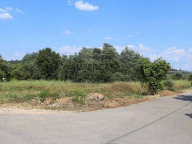 Terreno com viabilidade de construção. Ideal para investimento