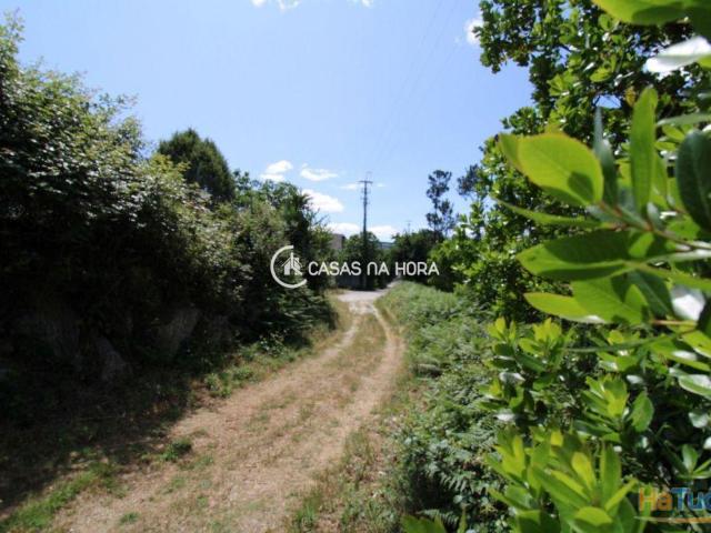 Terreno com Viabilidade de Construção Orgens Viseu | 26083561080