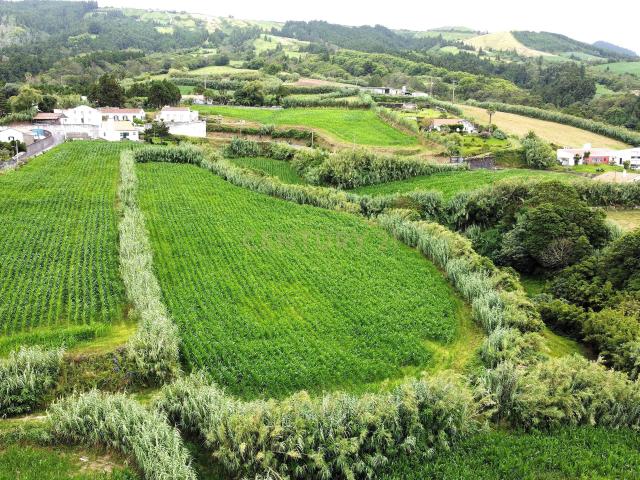 Terreno com Viabilidade de Construção, nos Ginetes