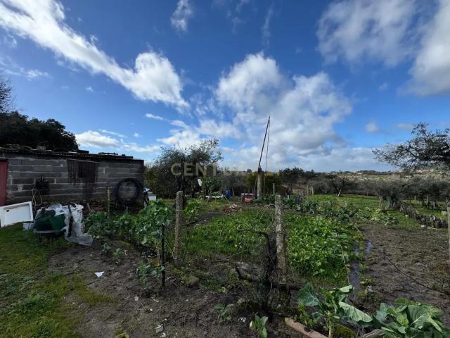 Terreno com Vista Campestre em Penamacor, Castelo Branco