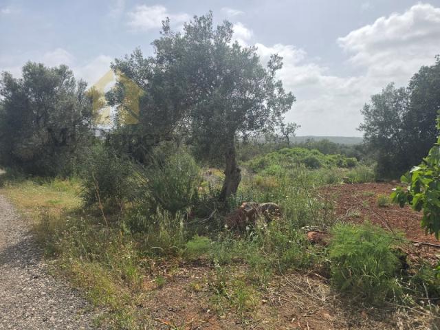 Terreno com Vista Campo e Infraestruturas a 15 minutos de Albufeira