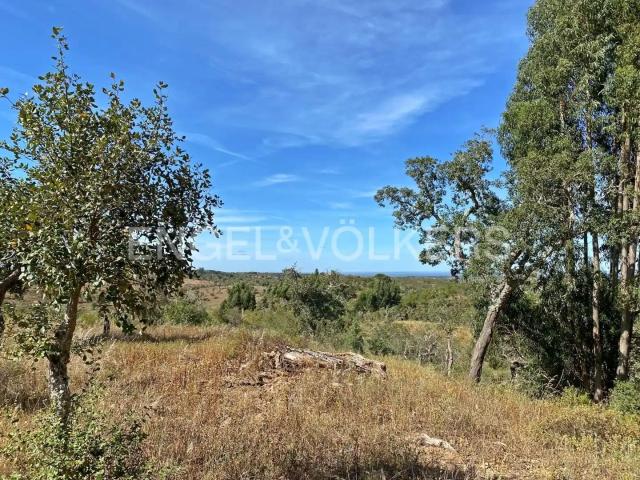 Terreno com vista desafogada 88m² Grândola e Santa Margarida da Serra
