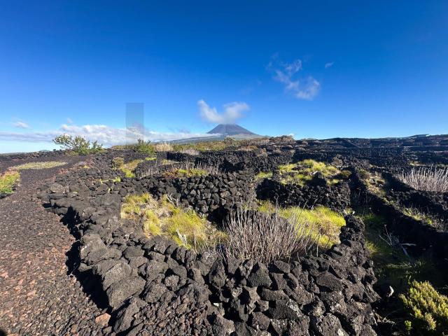 Terreno com Vista Deslumbrante na Ilha do Pico