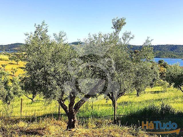 Terreno com vista Lago Alqueva | 26084072882