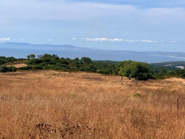 Terreno com Vista Mar | Azoia | Construção de Moradia