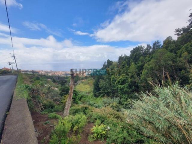 Terreno com vista mar Livramento, Funchal