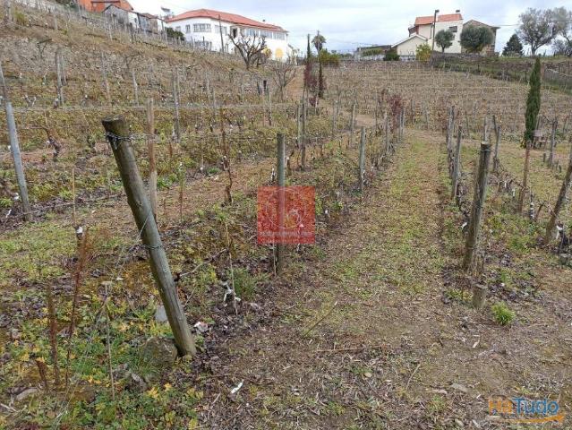 Terreno com vistas belíssimas para a Régua e rio Douro | 26083543515