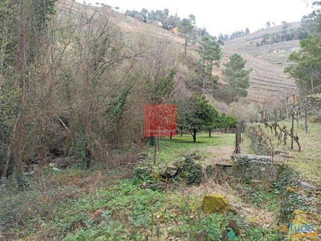 Terreno com vistas para o Peso da Régua | 26083543555