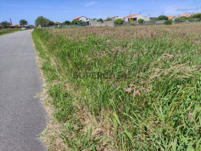 Terreno com vistas Ria Gafanha da Encarnação