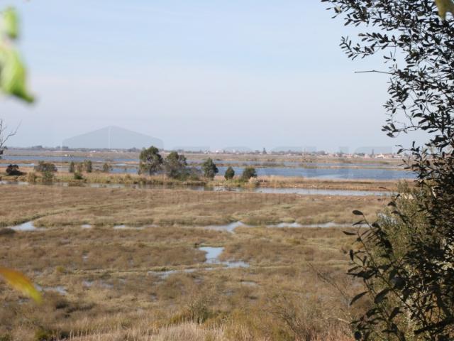Terreno com vistas Ria Passadiços