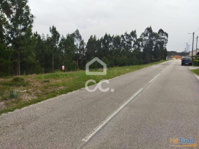 Terreno com a área de 8.000 m2 com viabilidade de construção urbana, localizado na freguesia de Carvide, a 5 Km de Monte Real e a 8 Km da Praia da Vieira  Consulte nos. | 26084063275