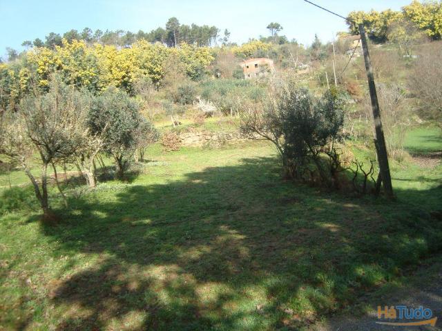 Terreno com a possibilidade de construção. | 26063351039