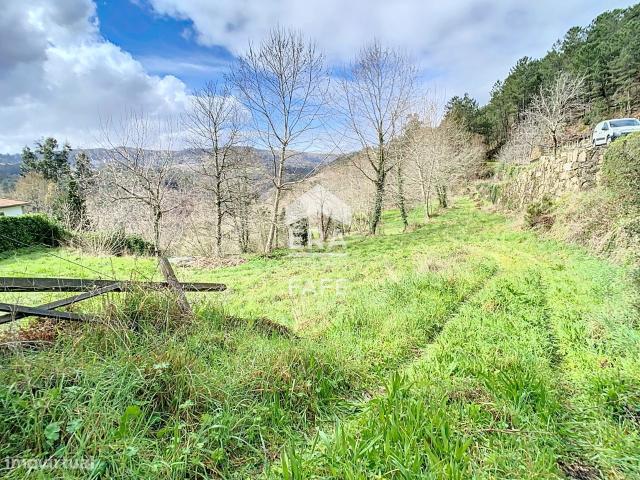 Terreno com a rea de 8.100m2 em Cabeceiras de Basto