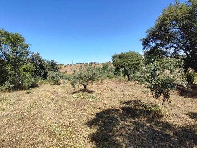 Terreno com água, Aldeia de Santa Margarida