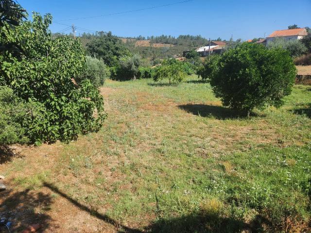 Terreno com agua, luz, saneamento e arvores de fruto em Tostão Vila Velha de Ródão