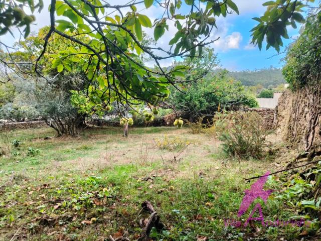 Terreno com Anexo em Pedra em Samonde Santa Marta de Portuzelo