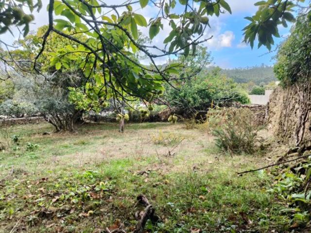 Terreno com Anexo em Pedra em Samonde Santa Marta de Portuzelo