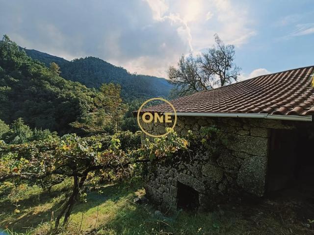 Terreno com Aprox: 10.000m2