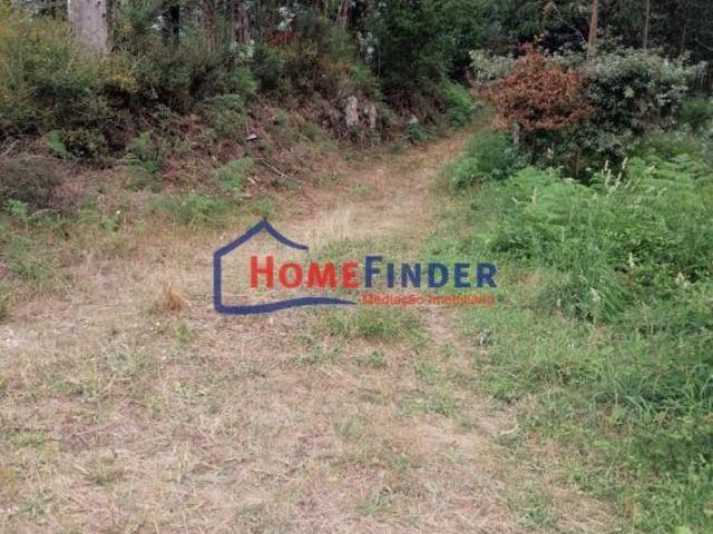 Terreno com aprox. 1.240 m2 Monção | 24093818332