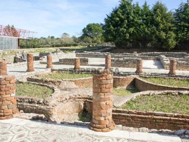 Terreno com armazém industrial