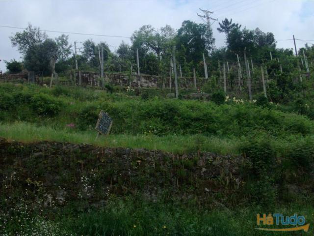 Terreno com área aproximadamente de 1700m2, com viabilidade de construção para moradia. | 26083709187