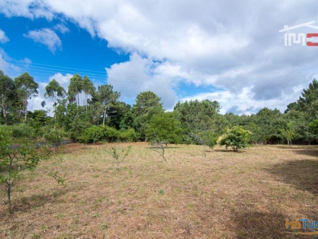 TERRENO COM ÁREA DE 3800 M2. MUITO BOA LOCALIZAÇÃO EM CASAIS DE S.MAMEDE | 26083338981