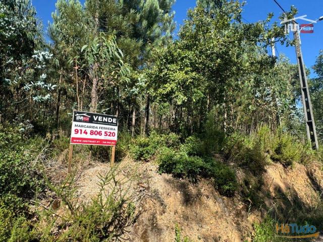 Terreno com área total de 6.800 m2 de pinhal e eucaliptos no Escandarão Atouguia | 26063807078