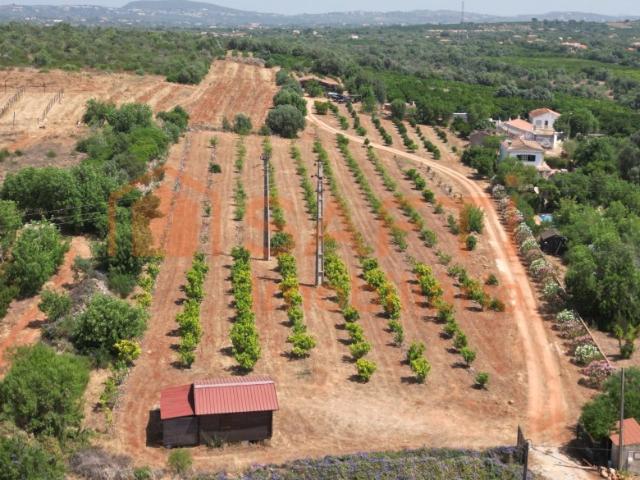 Terreno com casa de madeira e ruína em Algoz