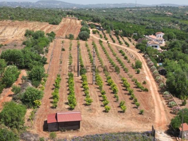 Terreno com casa de madeira e ruína em Algoz