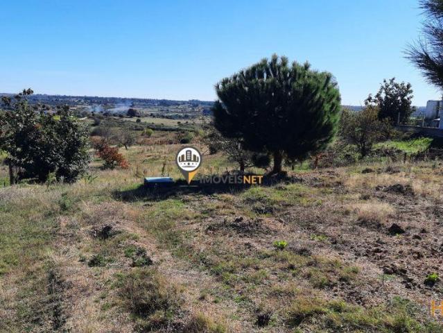 Terreno com cerca de 4000m2, venda, Castelo Branco | 26083897387