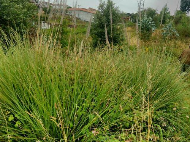 Terreno com cerca de 5.000 m2 | 26062101381