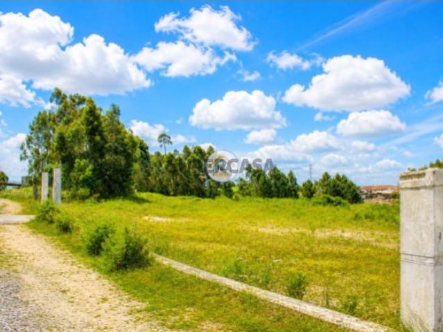 Terreno com cerca de 6.000 m² à face da EN222, em Olival Vila Nova de Gaia
