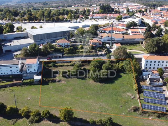 Terreno com cerca de 8000 m2 em Trancoso