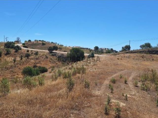 Terreno com eira, alfarrobeiras e vinha Corujos, Azinhal
