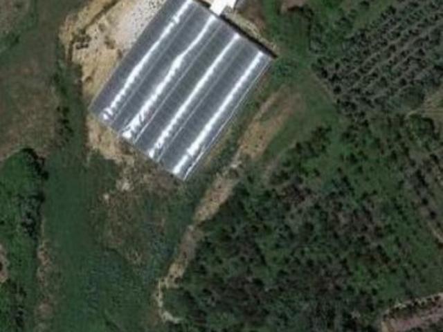 Terreno com estufa em Soure, Coimbra